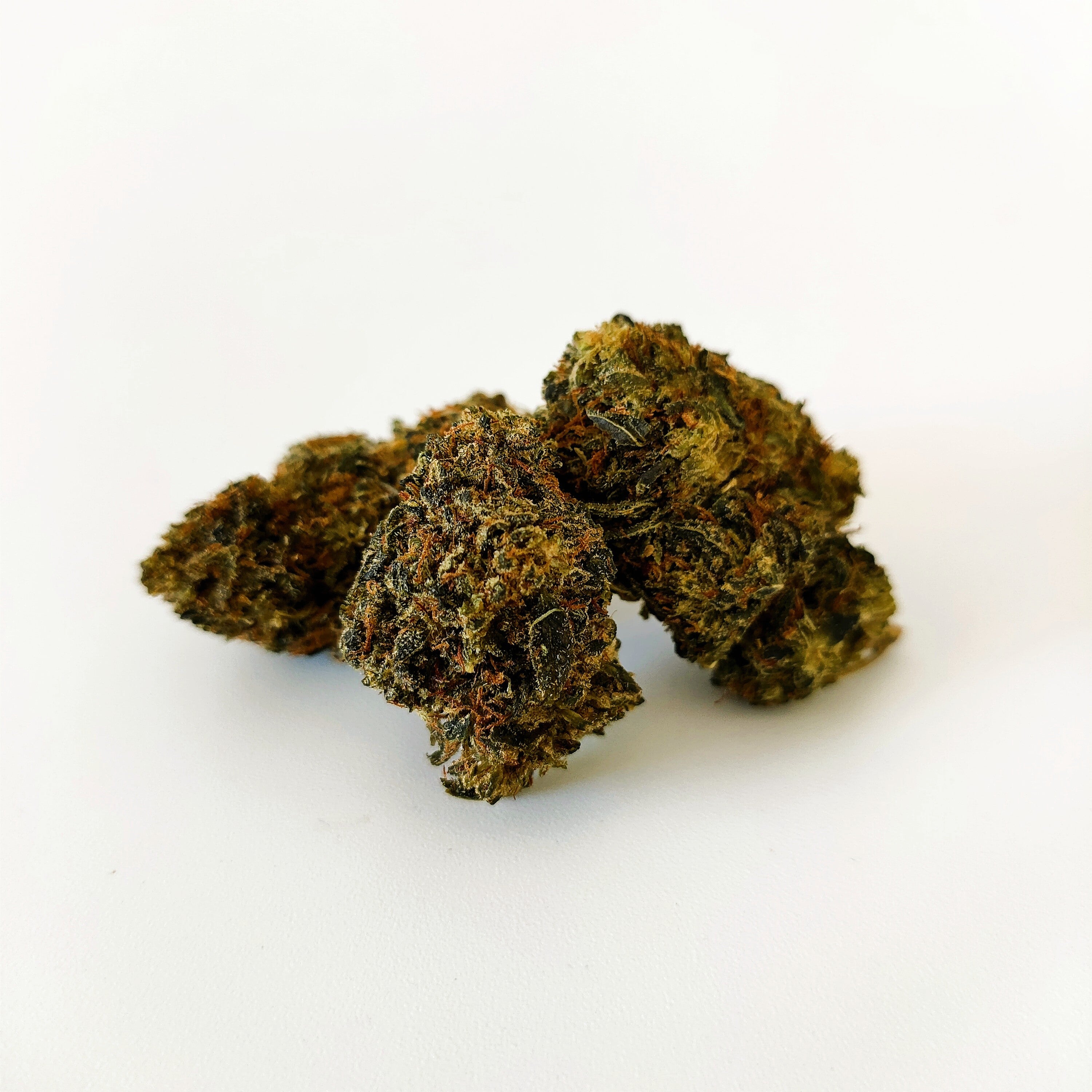 AMNESIA 20% XTREM