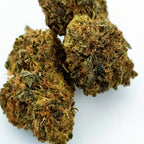 AMNESIA 20% XTREM