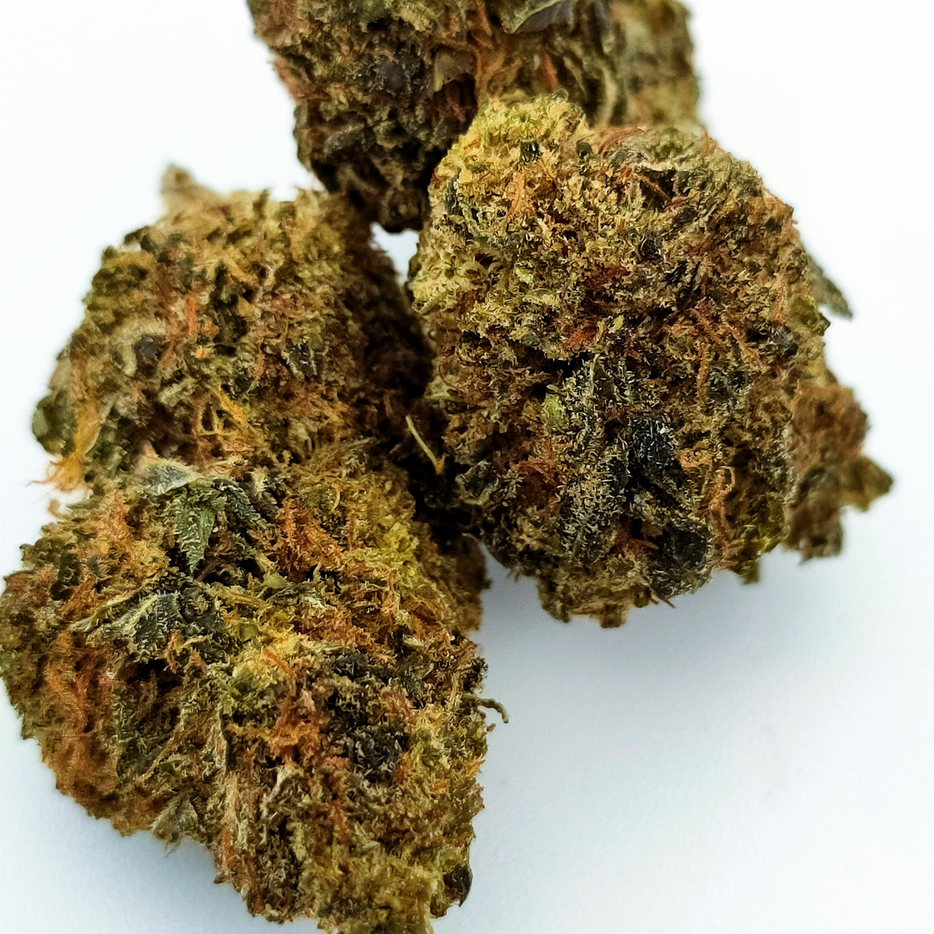 AMNESIA 20% XTREM