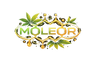 Moleor – Accueil